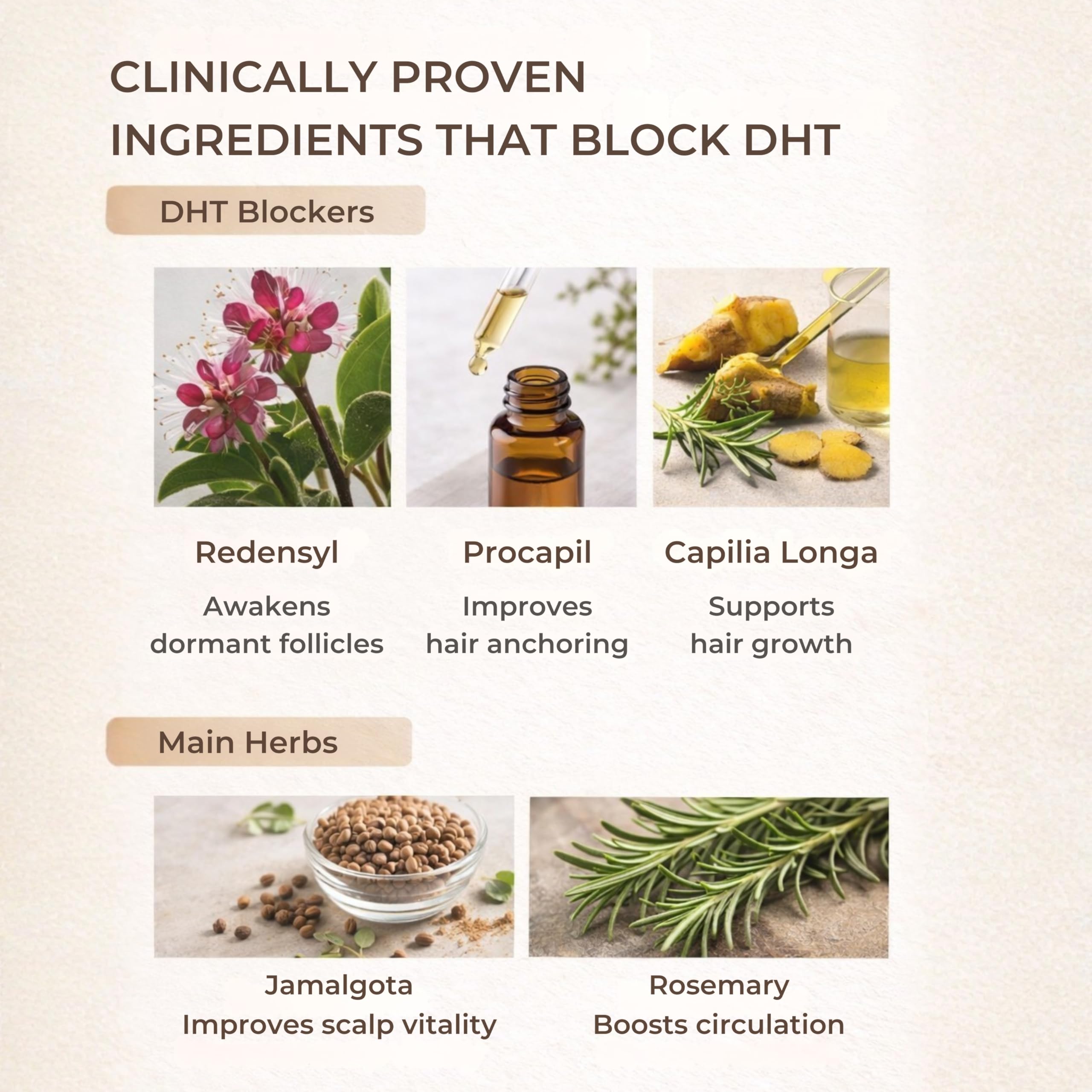 SAYY Scalp Revival Hair Serum 50 ML and Rosemary Oil 100 ML Combo 3
