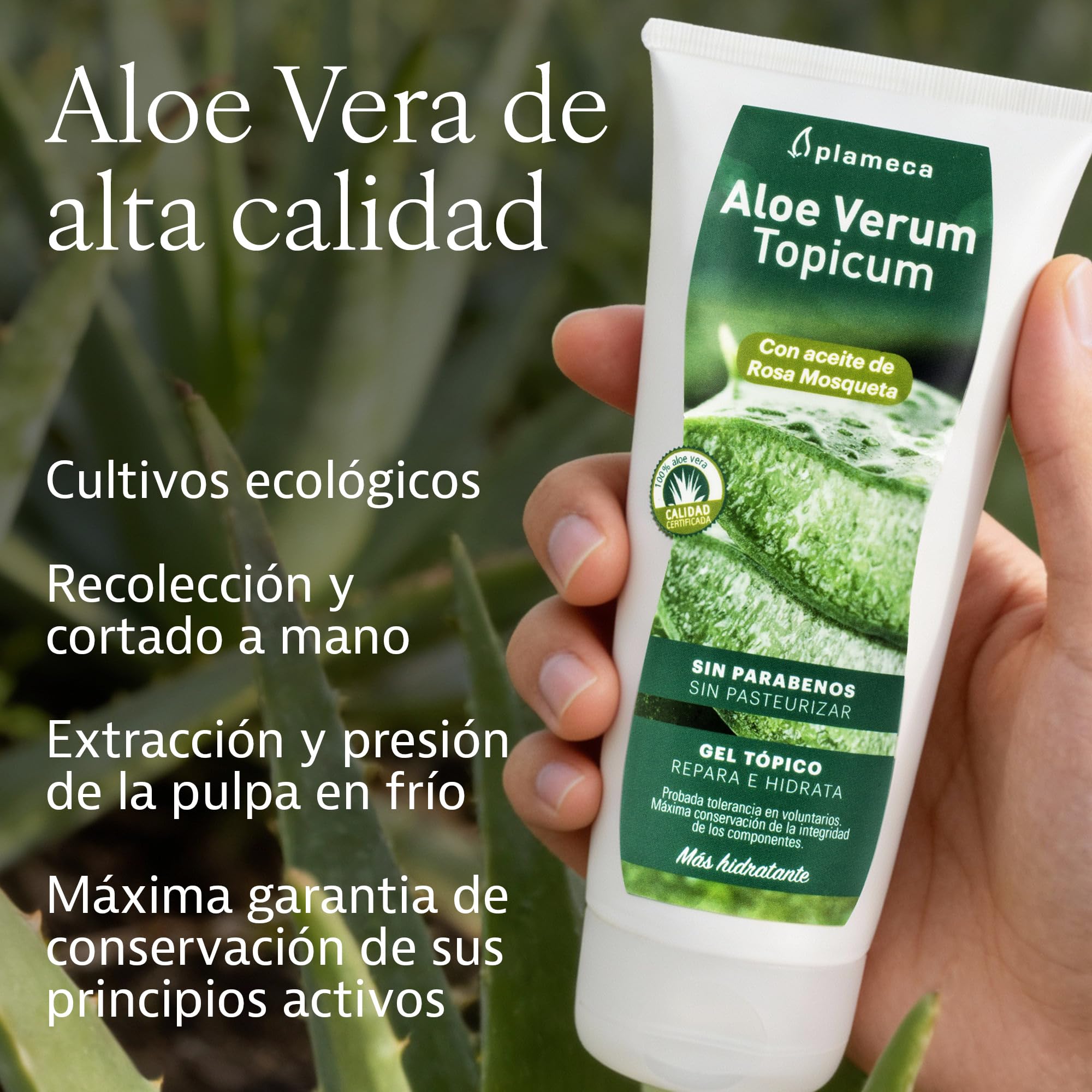 PLAMECA Aloe Verum Topicum, Hidratante y regenerador Gel Aloe Vera y Rosa Mosqueta Sin Pefume ni Parabenos, 200 ml