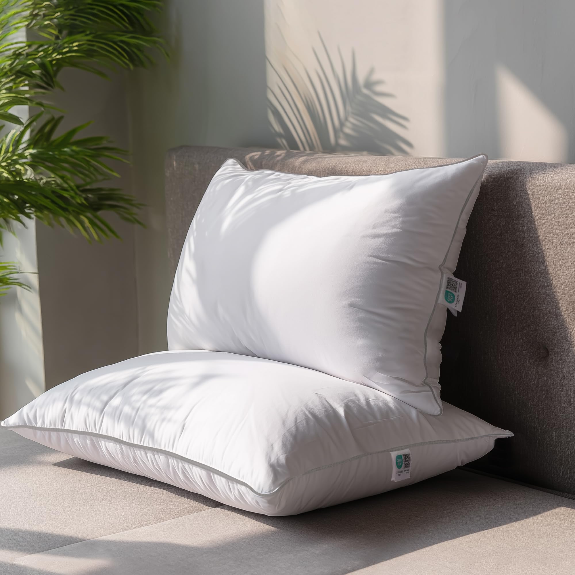 Feather King Pillows