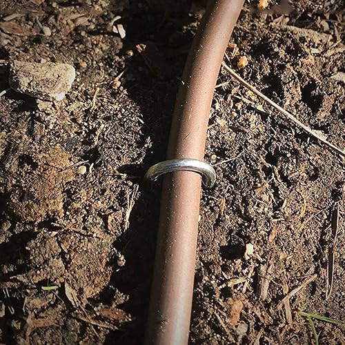 Miniatura 5 de AAGUT Paquete de 100 grapas de jardín galvanizadas de 6 pulgadas para manguera de goteo con parte superior redonda, ganchos de riego resistentes de