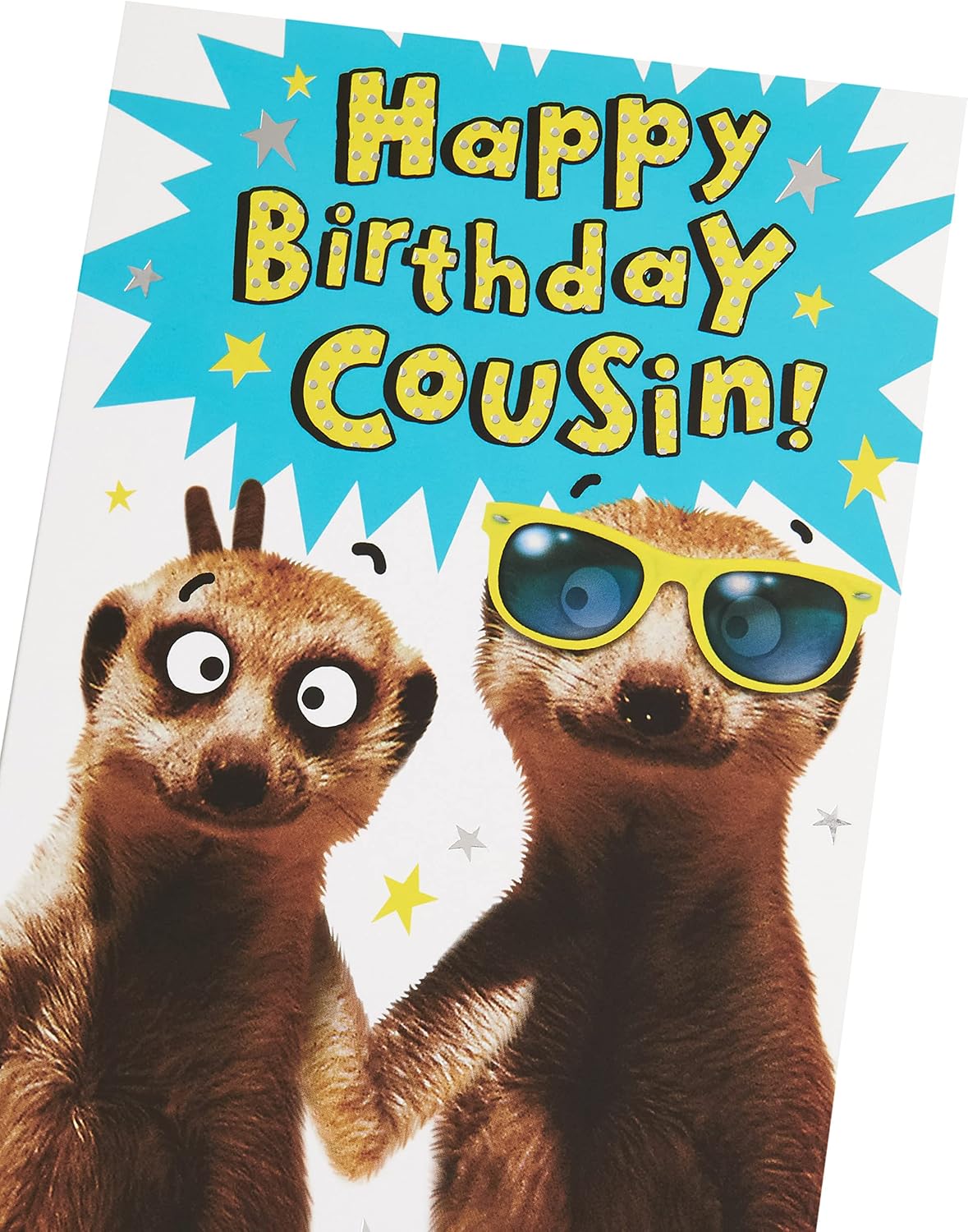 UK Greetings | Birthday Card for Cousin | Happy Birthday Gifts | Her/Him | Funny Meerkat Design | With Envelope | 143 x 216 mm