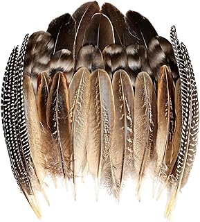 THARAHT 24pcs 4Style Natural Spotted Feathers Guinea Fowl Wing Feathers 6-8 inch Bulk for
