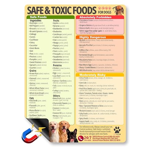 Safe and Toxic Foods Chart for Dogs Fridge Magnet 8.5x11