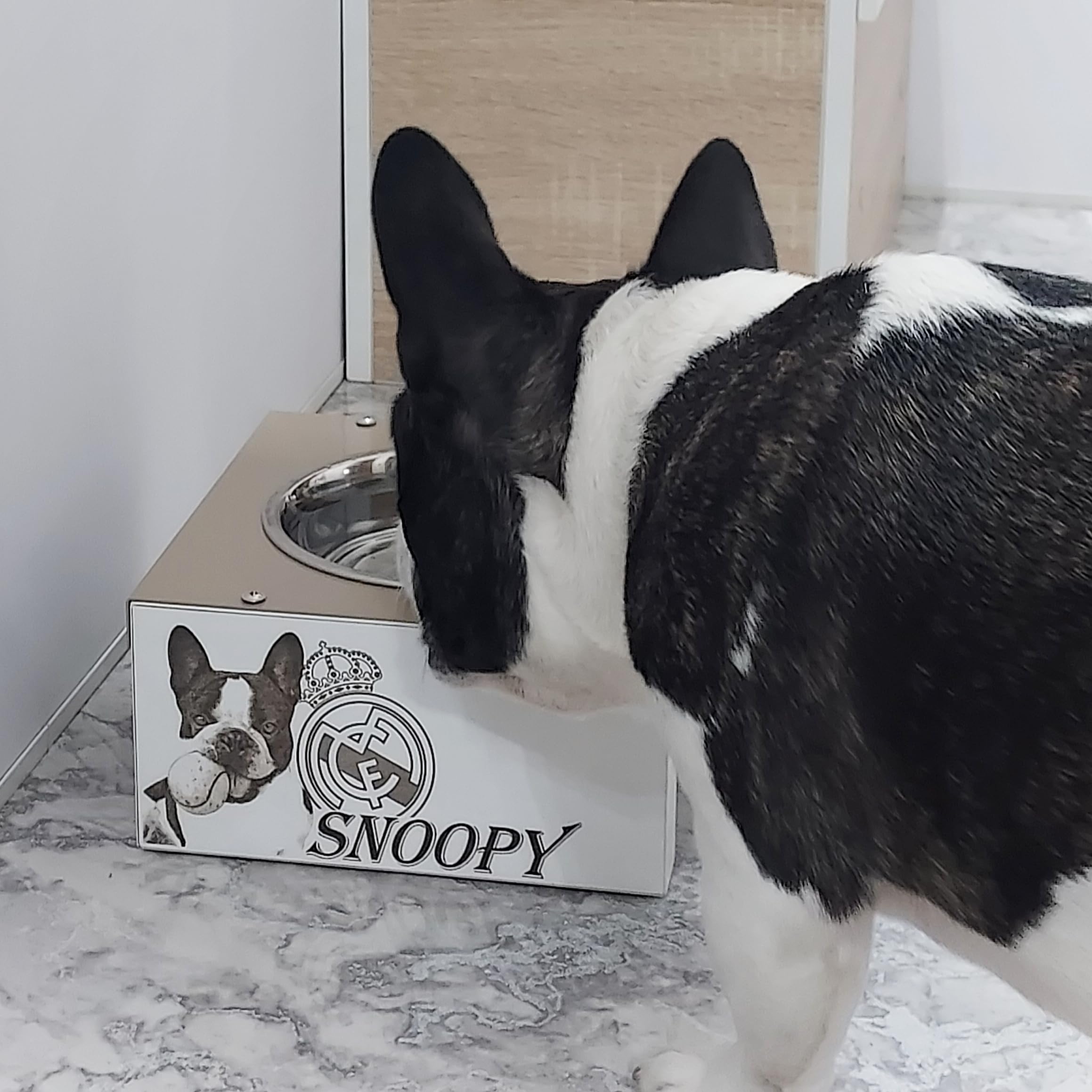 Comedero Elevado para Perros y Gatos, en Madera y Metal, Personalizado con Foto Real, Cuencos de 16 cm diámetro. Comedero de 1, 2, y 3 Cuencos. (2 Cuenco/10 cm Alto)
