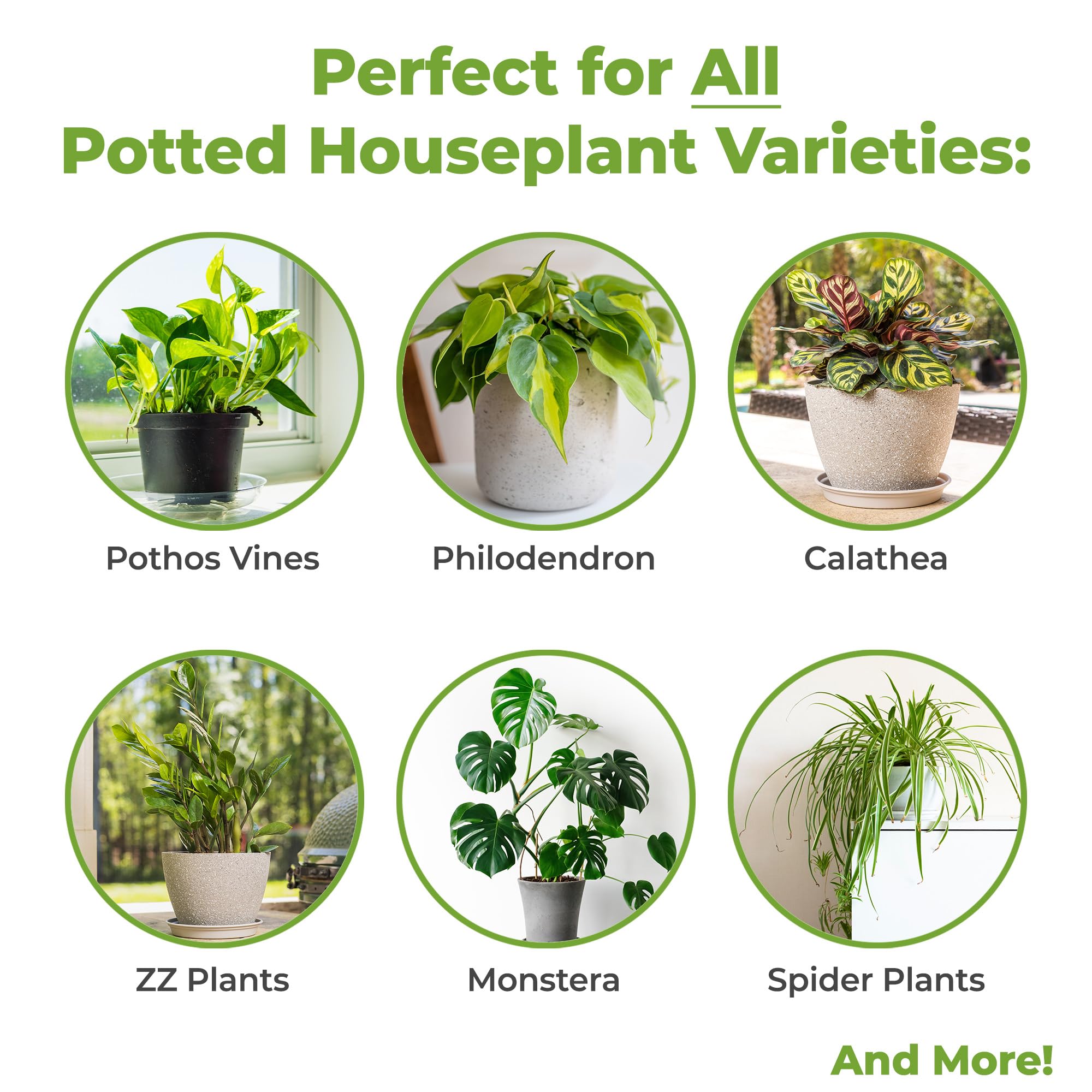 Perfect Plants Gleba do roślin domowych, 8 l, idealnie wyważona mieszanka doniczkowa, podłoże ogrodnicze do wszystkich odmian żywych roślin doniczkowych