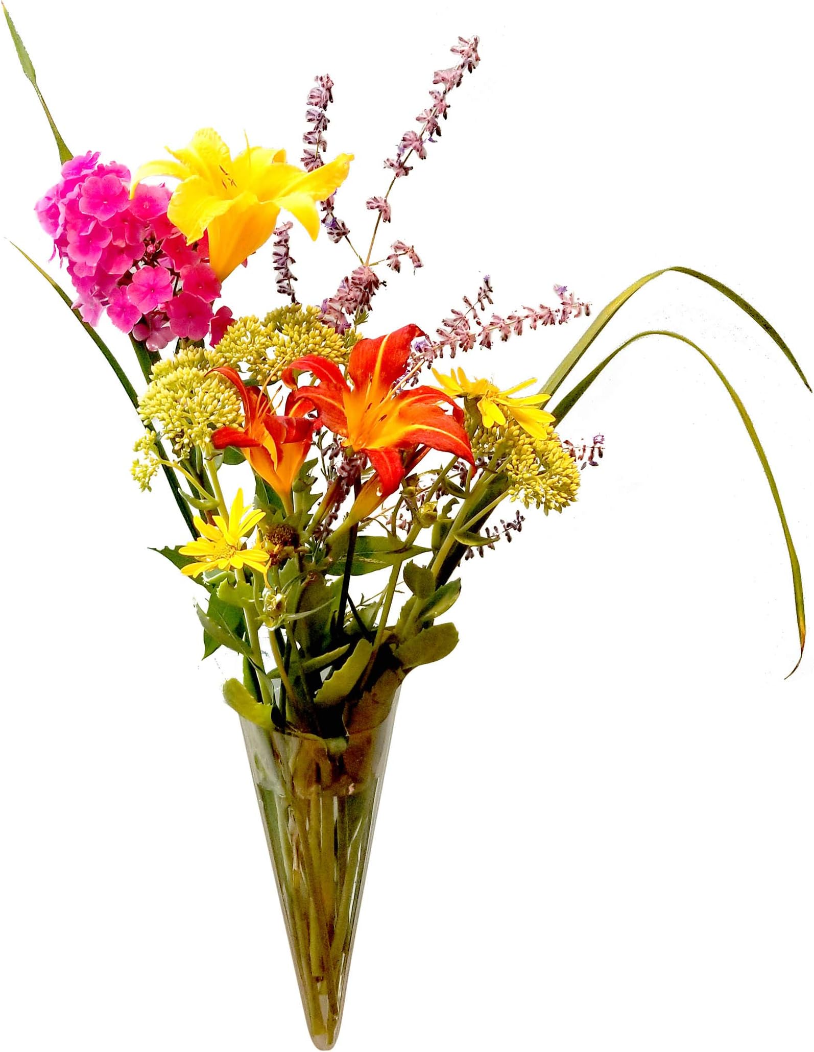 Gadjit Vaso in vinile flessibile per finestra, stile tromba, si attacca a finestre, specchi o altre superfici non porose con ventose, vaso per un mazzo di fiori, acqua, verde