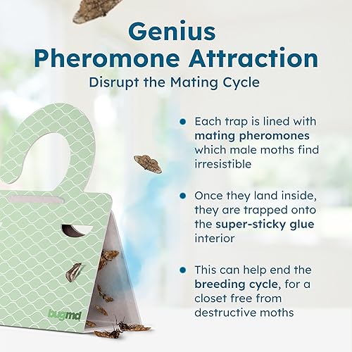 Miniatura 7 de BugMD Trampas para polillas de ropa y despensa (6 unidades) – Adhesivo repelente a base de feromonas para armarios, armarios y armarios – No tóxico