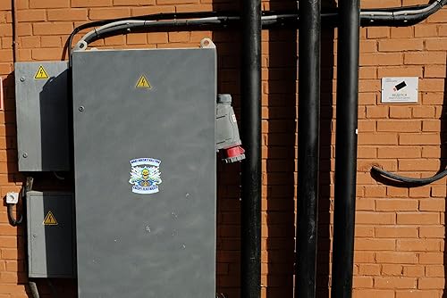 Miniatura 5 de WSQ Paquete de 2 calcomanías de vinilo con texto en inglés «What Doesn't Kill You Only Makes You Stronger Except Electricity», 4 pulgadas,