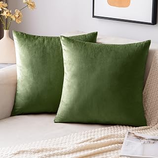 EMEMA Velvet Cushion Covers Matcha Green Decorative Throw Pillow Case 16x16 Inch 40x40 cm Pillow Covers for Livingroom Sofa Bedroom Pack of 2