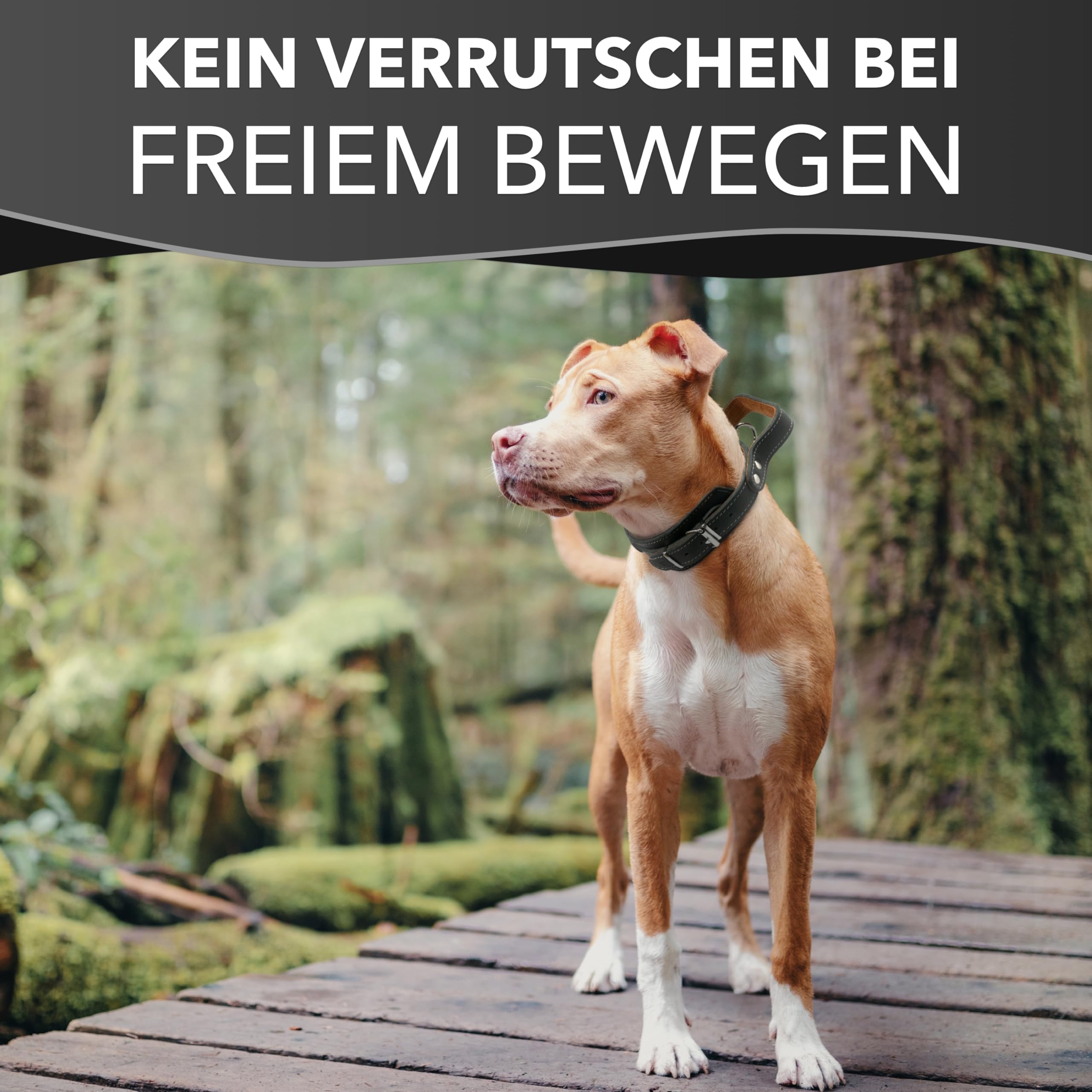 Hundehalsband mit Griff, Dickes qualitativ hochwertiges Leder 55cm x 60mm Erziehungshalsband Robustes taktisches Halsband bis zu 12cm verstellbar weich gepolstert