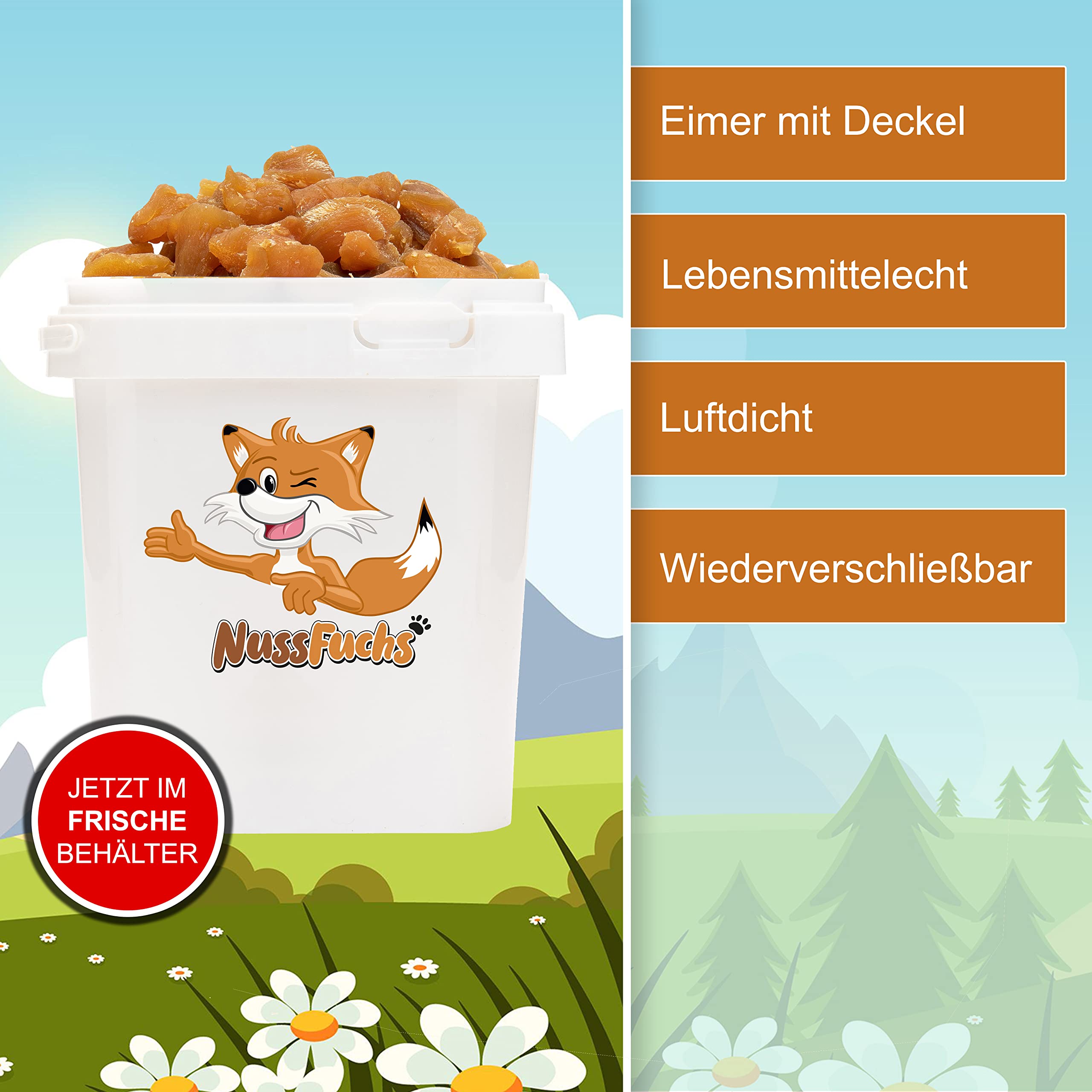 Ingwerstücke scharf 1kg - getrocknet aromatische Ingwer Stücke ohne Zucker - naturbelassen ungezuckert ungeschwefelt - 100% Ingwer Natural Ingwer Stücke gewürfelt ohne Gentechnik - (1kg)