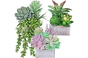 Artificial Succulent Plants in Wooden Pots for Bathroom Decor