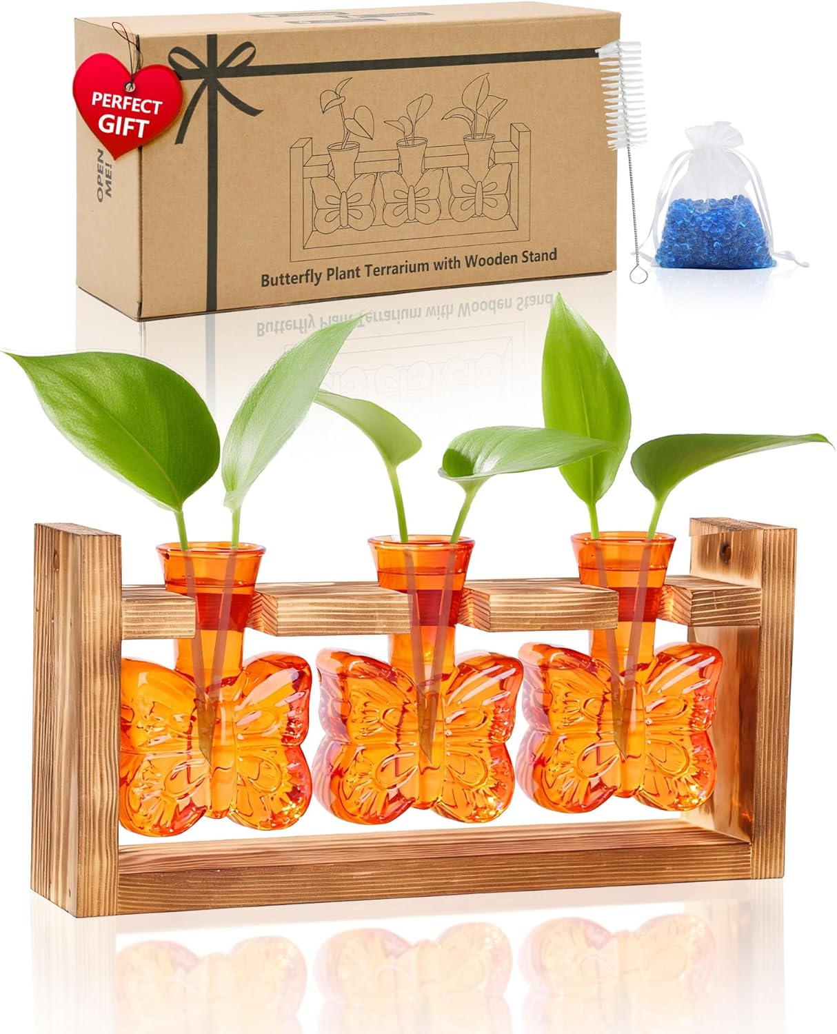 Nacome Butterfly Vase Propagation Stations: Glass Plant Terrarium with Wooden Stand for Home Office Desk Decor, Unique Gifts for Plant Lovers Women Mom (Orange)