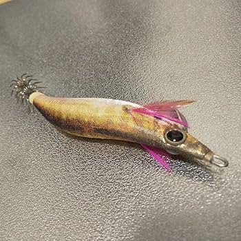 廃盤 エギ王 ライブサーチ 2.5号 中古品 10個セット 入手困難 2025年最新】Yahoo!オークション -エギ王 ライブサーチの中古品