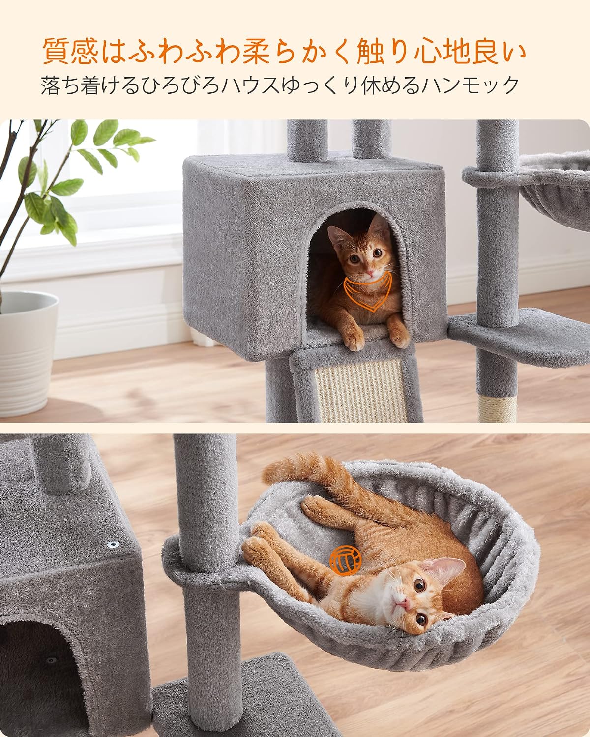Two cats enjoying the cat tree, one in the house and one in the hammock