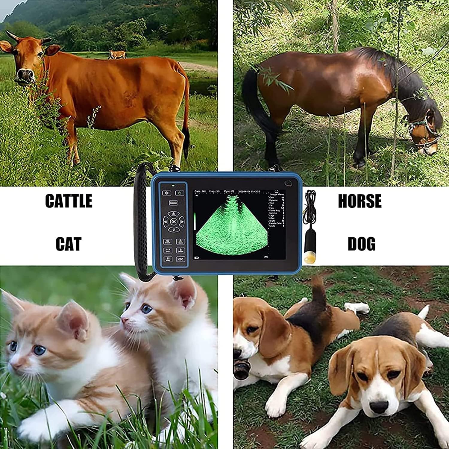 Scanner veterinario portatile ad ultrasuoni | Sonda da 3,5 MHz per pecore maiali e capre | Attrezzatura diagnostica professionale per bestiame B-Scan portatile