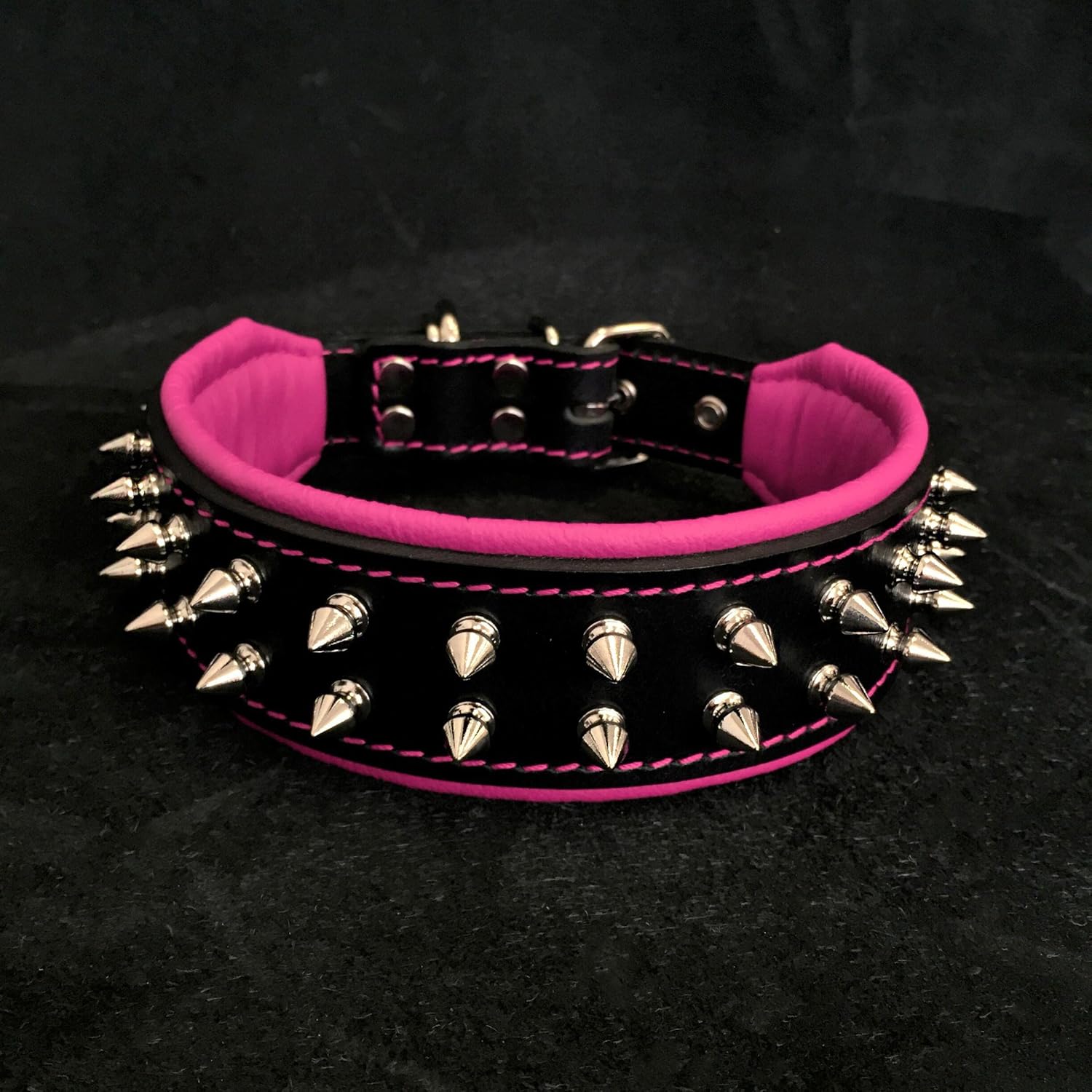 frenchie dog collar