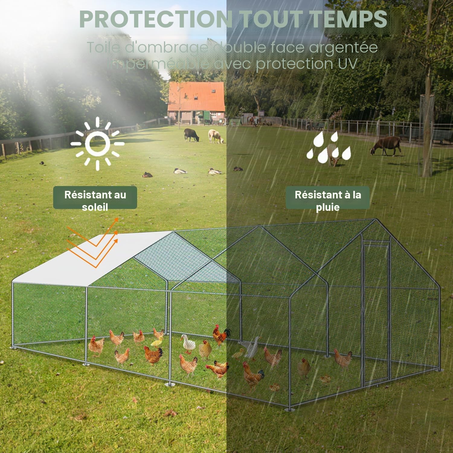 Poulailler 24 m² 3x8x2 m métal avec Serrure et Porte