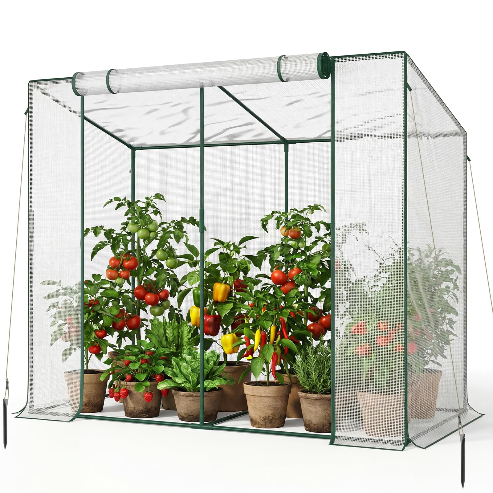 SUNYRISY Tomaten Gewächshaus Klein Foliengewächshaus 200x100x170 cm, Tomatenhaus Tomatenzelt mit Tomatendach, Greenhouse mit Rollentür und Windschutzseil für Balkon Outdoor, Weiß