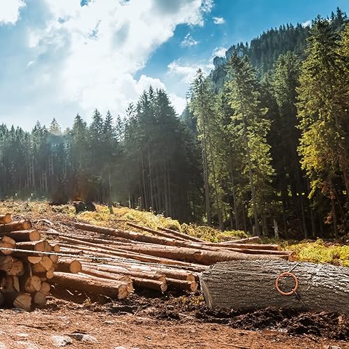 Miniatura 6 de Cable de cabrestante de acero, 10 pies de largo, cuerda de alambre con gancho, resistencia a la rotura de 2400 libras, cable de remolque resistente,