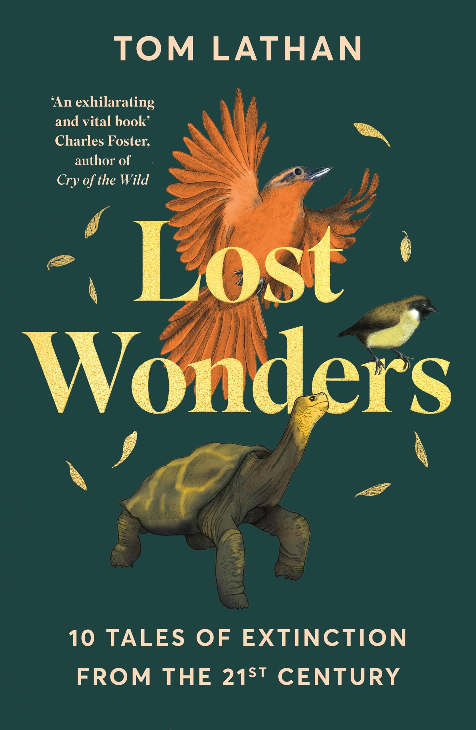 Lost Wonders by Tom Lathan (Paperback Book)