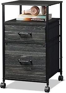 DEVAISE 2-Drawer Mobile File Cabinet with Printer Stand