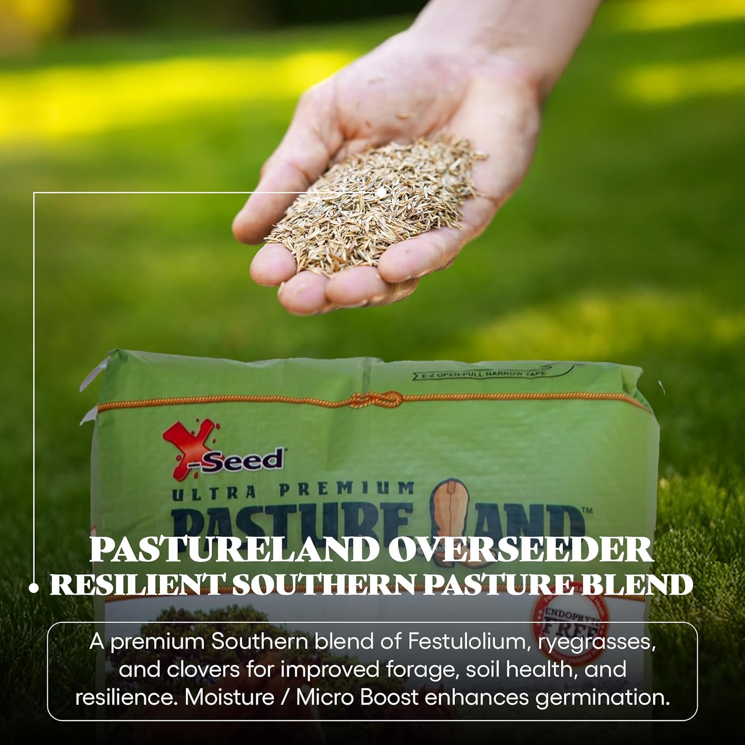 X-Seed Pastureland Over-Seeder South with Micro-Boost – Forage Grass Seed Mix for Pasture, No Mow Lawn, Perennial Ryegrass, Red and White Clover, Sprouting Endophyte Free for Animal Safety, 25LB