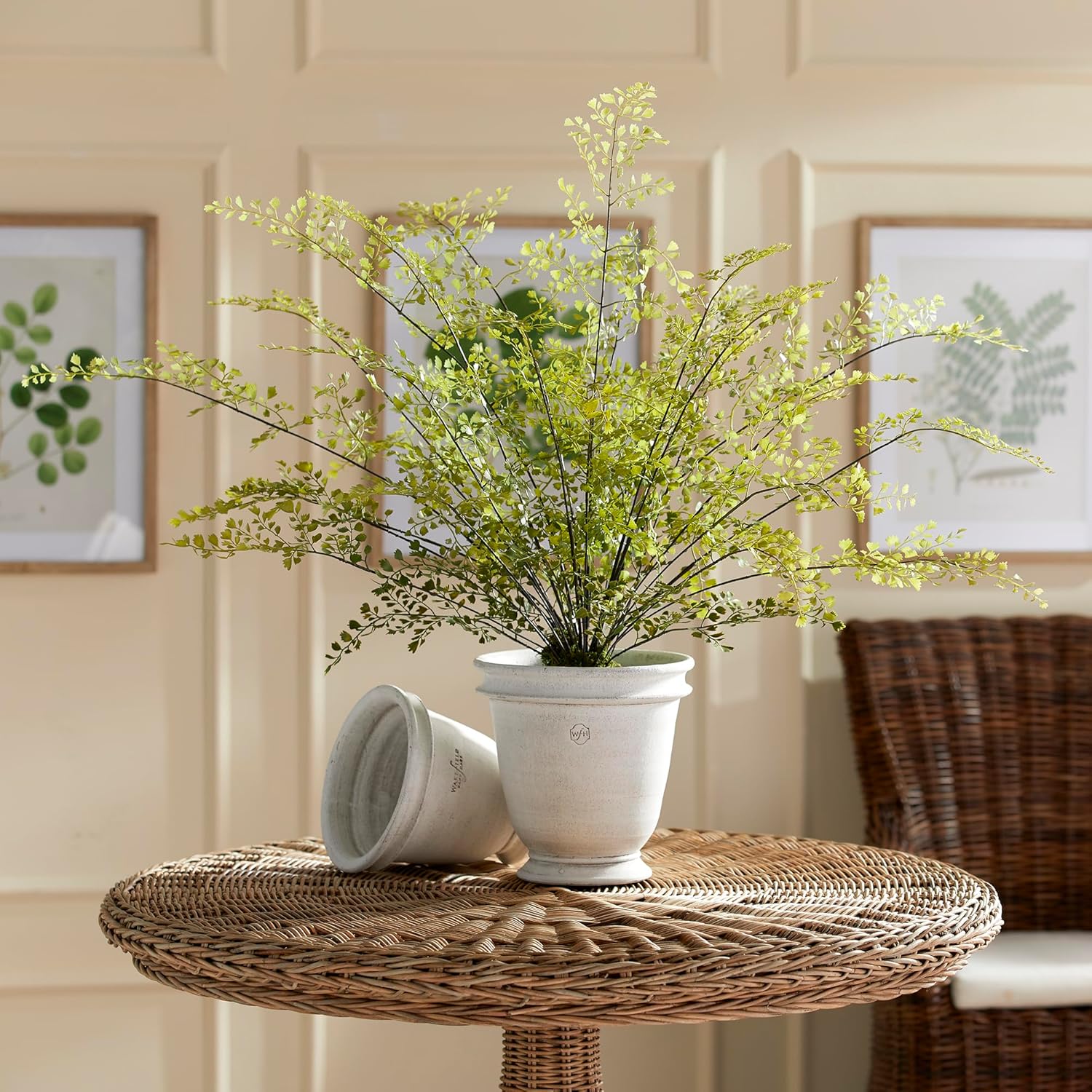 Napa Home & Garden, Maidenhair Drop-in 13"
