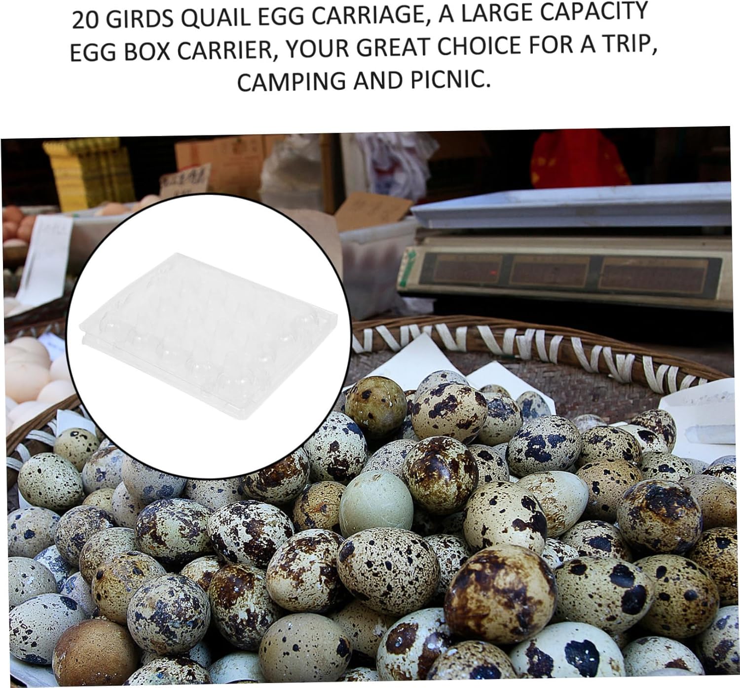 50pcs Quail Egg Packaging Box Egg Container Tight Lock for Camping and Picnic