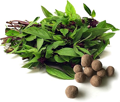 Bolas de semillas de albahaca tailandesa bombas de semillas de hierbas y verduras para hacer que la jardinería sea divertida y sencilla