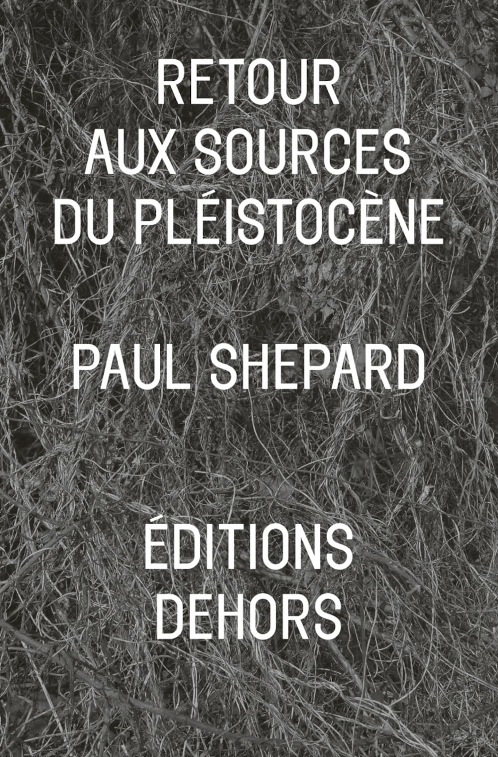RETOUR AUX SOURCES DU PLEISTOCENE