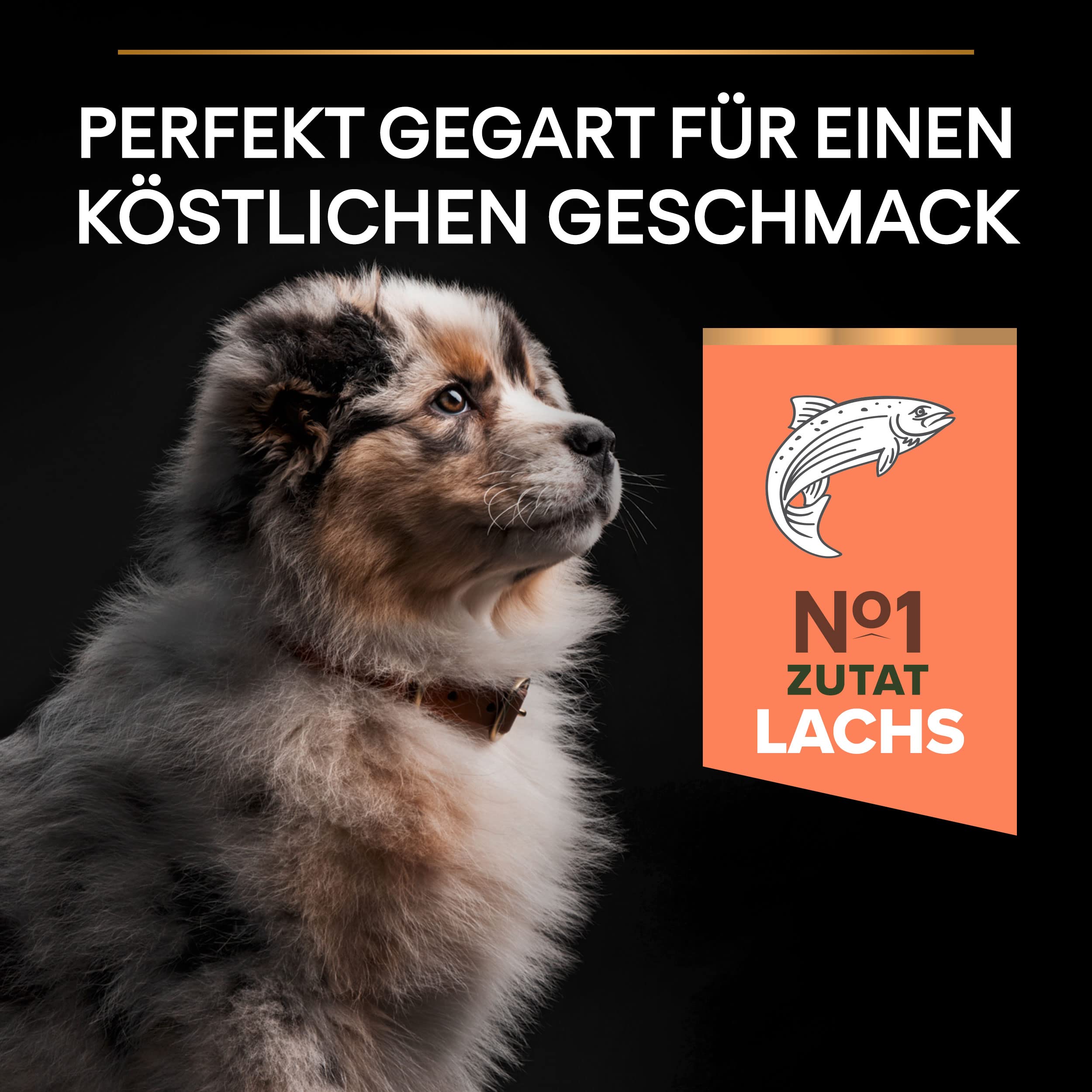 Pro Plan Medium Puppy Sensitive Skin, Welpenfutter trocken, reich an Lachs, 1er Pack (1 x 12 kg)