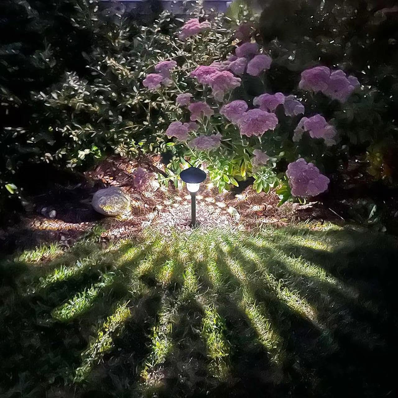 Paquete de 8 luces solares de camino para jardín al aire libre, cambio de color, blanco cálido, blanco brillante, IP65, impermeable, acero inoxidable, decorativo, paisaje, camino, patio, luces