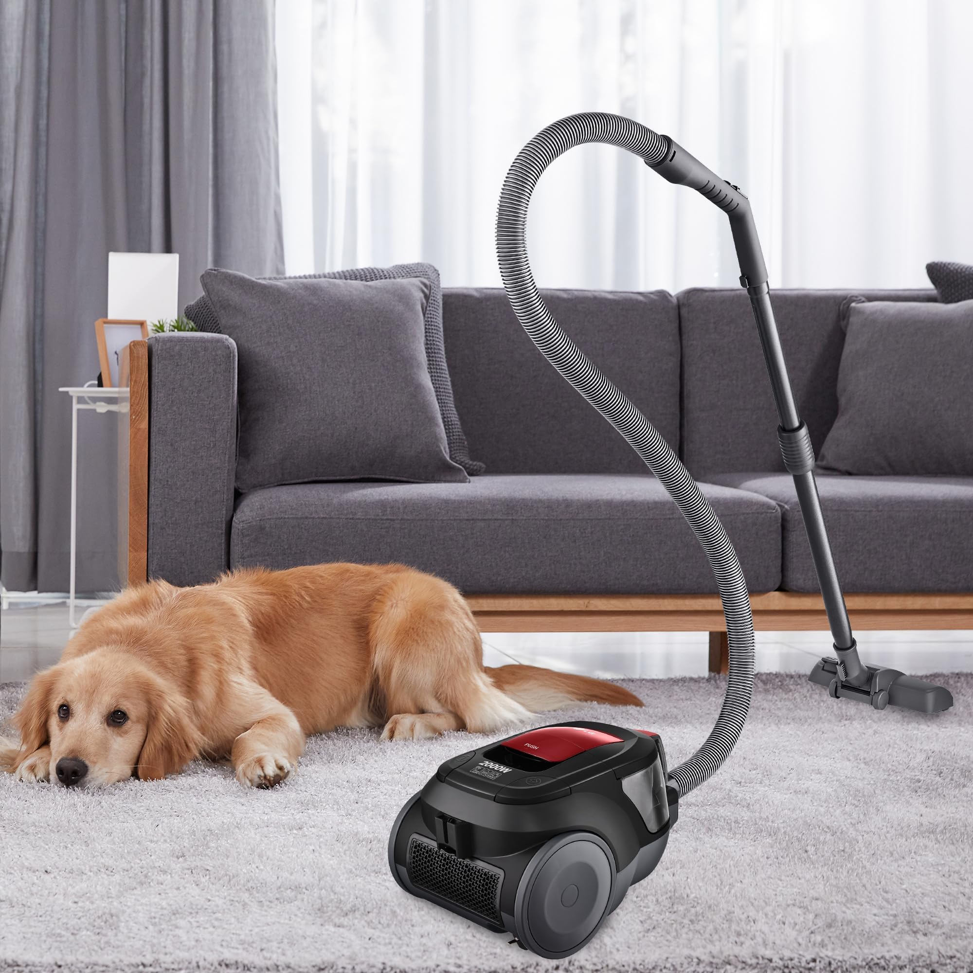 LG VC5506NHTCR Aspirapolvere senza sacchetto 650 W, Sistema Ciclonico Elipse, Aspirapolvere Tubo Telescopico, Regolazione Potenza, Serbatoio 1,1 L, Speciale Animali domestici + Tappeti-Pavimenti,