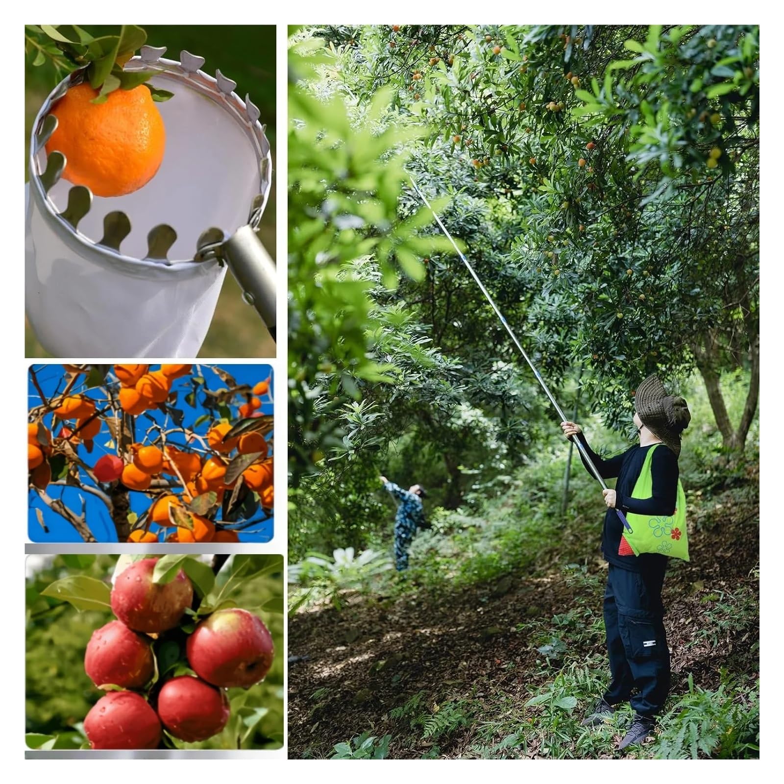 Obstpflücker, Vlieskorb-Pflückstange, blau, 2,4 m, verstellbar, tragbar, Obstpflücker
