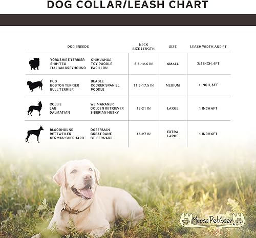 Miniatura 15 de Collar de perro con estampado de animales, impermeable, lindo collar de perro con estampado de cebra, 1 pulgada se ajusta de 11.5 a 17.5 pulgadas