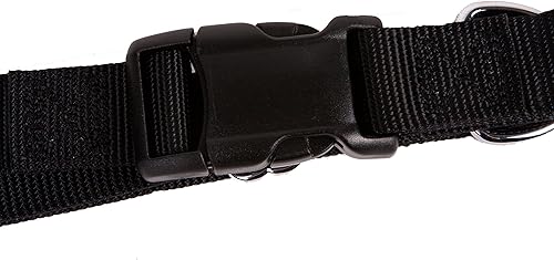 Vista 83 de GoGo Pet Products GoGo - Collar de perro Martingala de 3/8 pulgadas, talla XS, color naranja