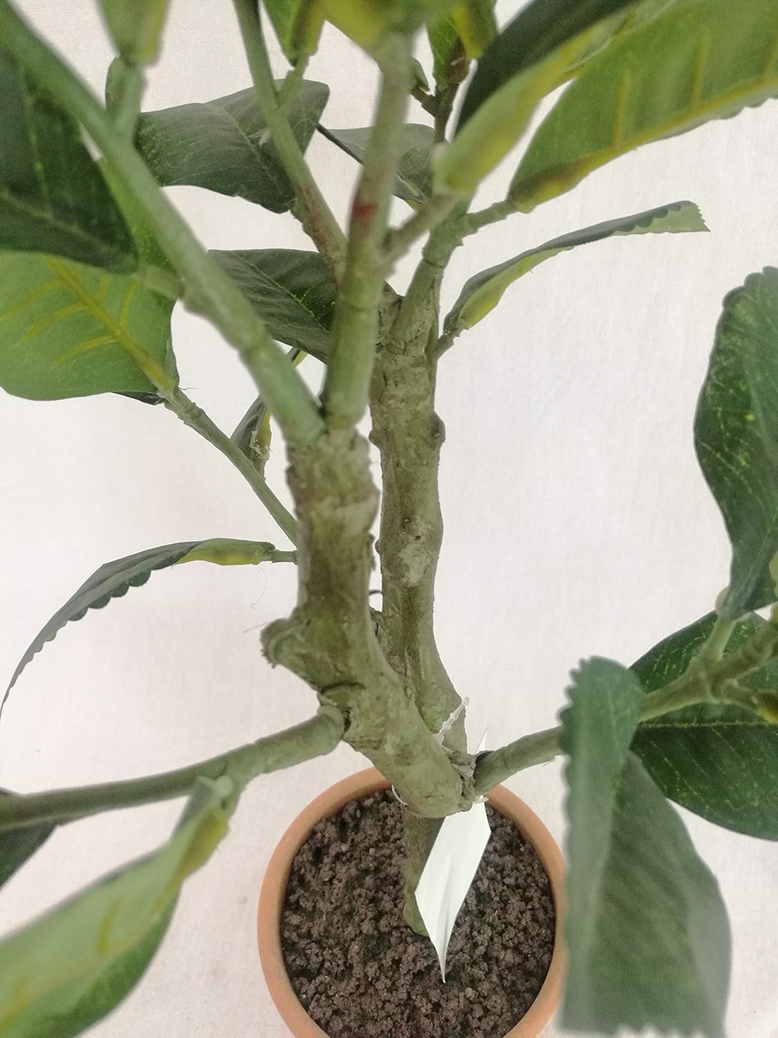 テレビで話題 Sunavi人工観葉植物 レモンツリー 光触媒 フェイクグリーン 観葉植物 空気清浄 消臭 脱臭 室内 屋外 造花 多肉植物 造花 植物装飾 造花 アートフラワー Oyostate Gov Ng