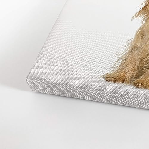 Vista 103 de Smile Art Design Border Collie Bulldog Rottweiler Cachorro Persa Gatito Animal Lienzo Impresión Arte de Pared Pet Cat Dog Lover Sala Dormitorio