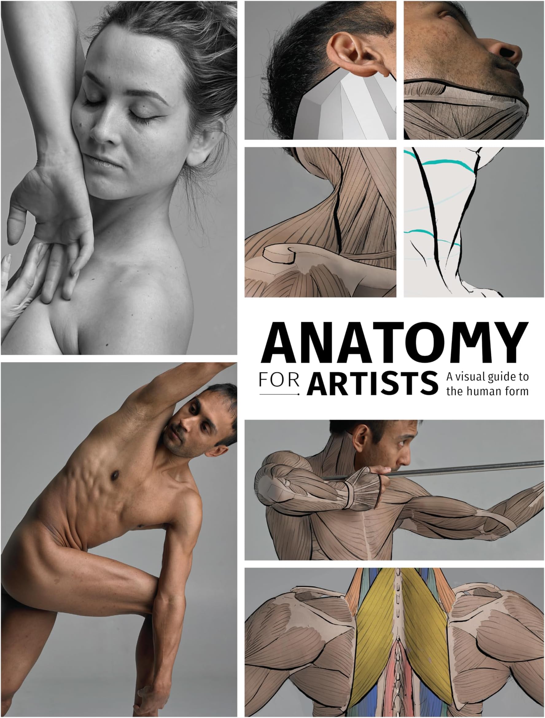 Anatomy for Artists: A visual guide to the human form