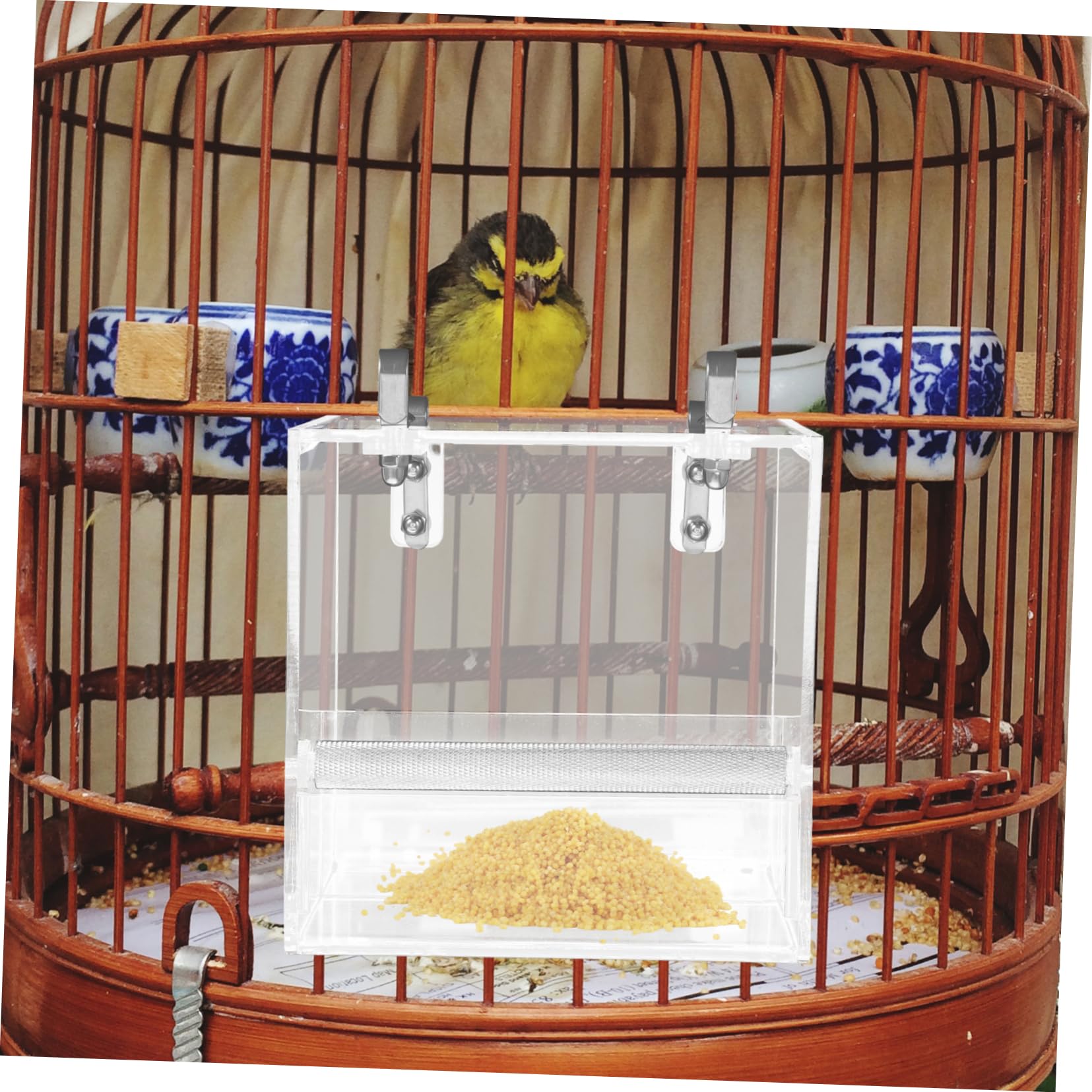 VICASKY Mangiatoia Automatica per Uccelli Ciotola Trasparente per Pappagalli e Volatili Facile da Installare e Design Decorativo S