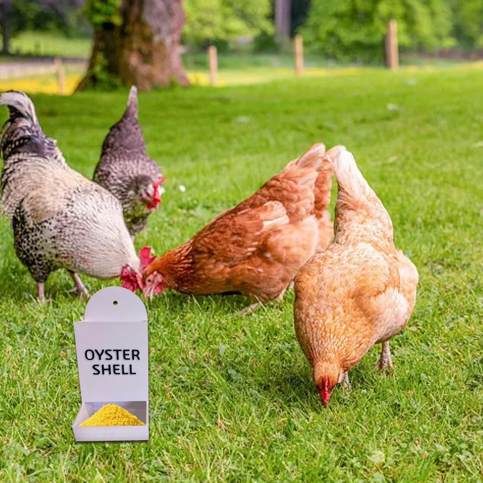 Produktbild von 2er-Pack Hühnerfutterautomat Aus Metall – Hängender Futtertrog Für Grit & Austernschalen – Für 6 Hühner, Bis 13 Tage – Für Stall & Freiland