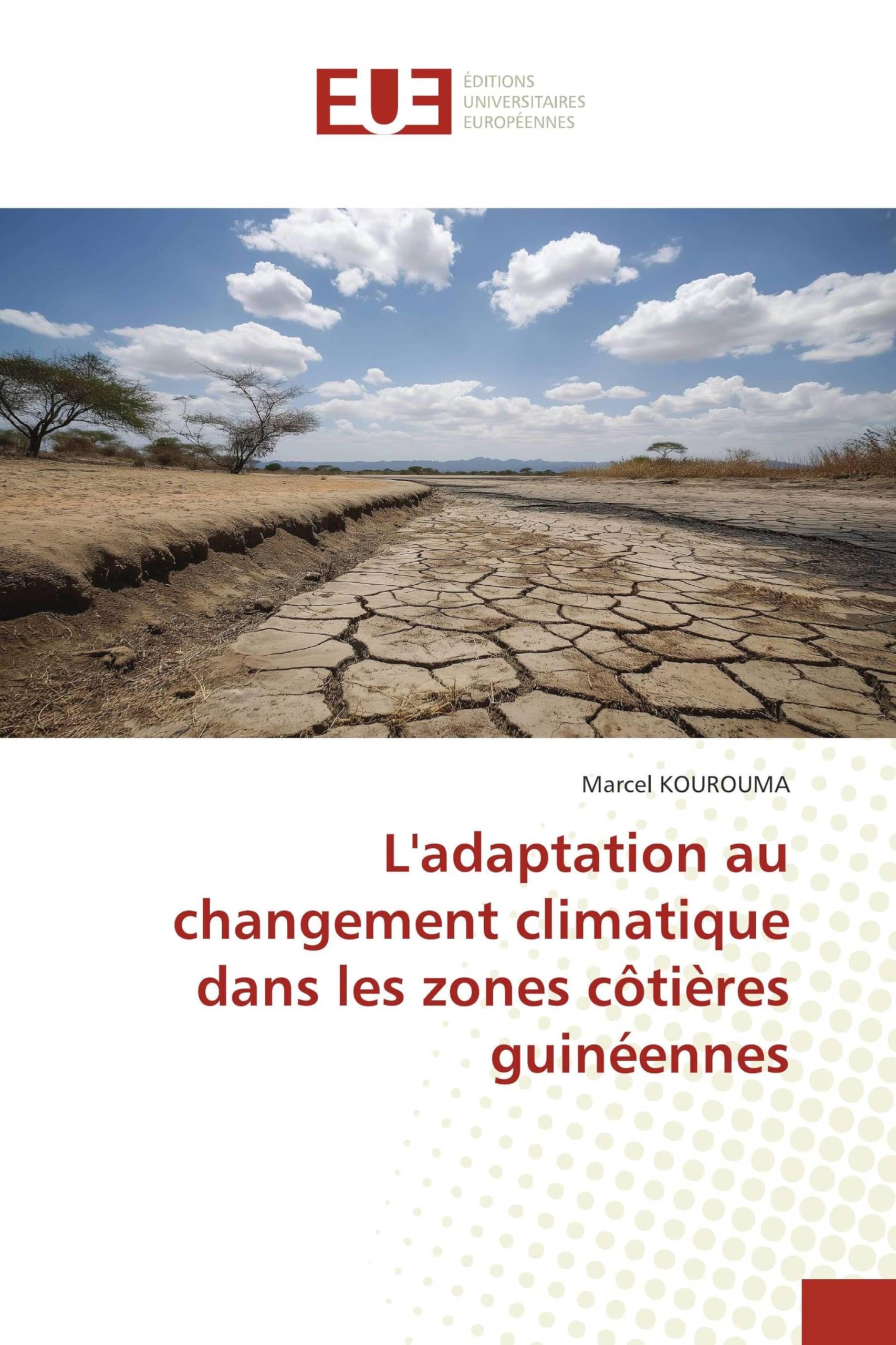L'adaptation au changement climatique dans les zones côtières guinéennes