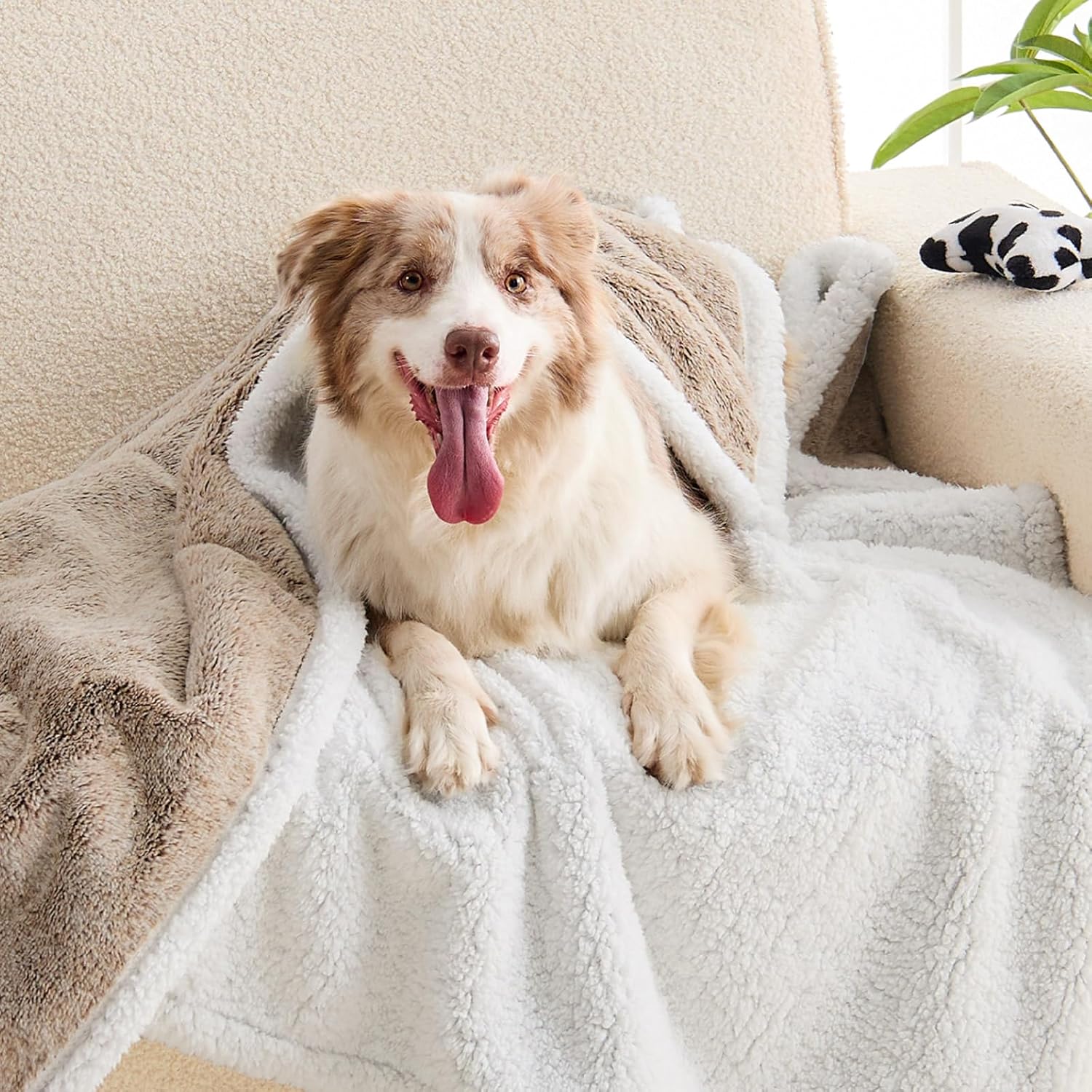 ChiXnuggle Waterproof Dog Blankets for Large Dogs, Reversible Faux Fur & Sherpa Washable Pet Blanket, Soft Pet Throw for Couch Bed Protection, 50"x60", Brown