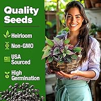 Vista 487 de HOME GROWN Semillas de diente de león para plantar 600 semillas de hierbas medicinales tradicionales (~ 0.01 oz) sin OMG cultivan hojas y flores