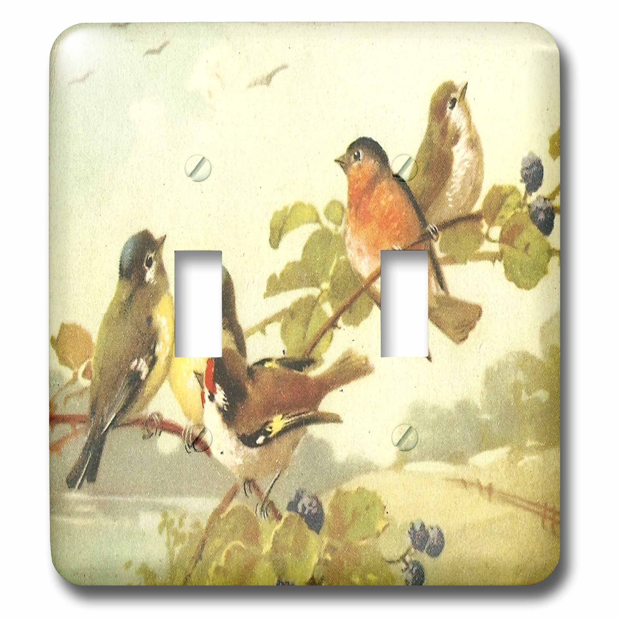 Interruptor doble decorativo de pájaros en rama placa de pared para salón 3dRose