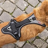 Vista 5 de Arnés magnético Belka Comfort Negro S