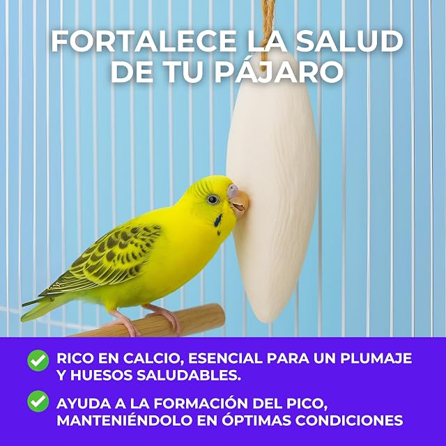 Foto 2 de 6 de Moly Hueso de Jibia con Cuerda para Pájaros - Pack de 2 Unidades