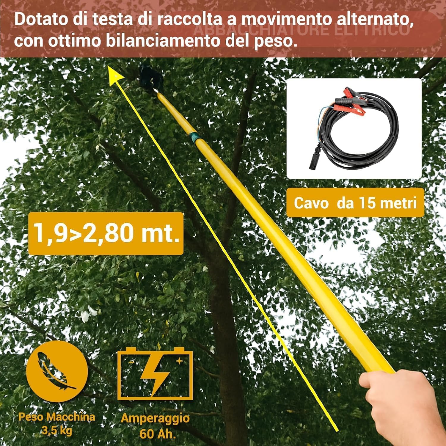 Abbacchiatore Elettrico per Olive 12V con Asta Telescopica in Alluminio 400w, Movimento Alternato 800 battiti/min, Pettine in Tecnopolimero, Cavo 15 m, Scuotitore Professionale Raccolta Olive