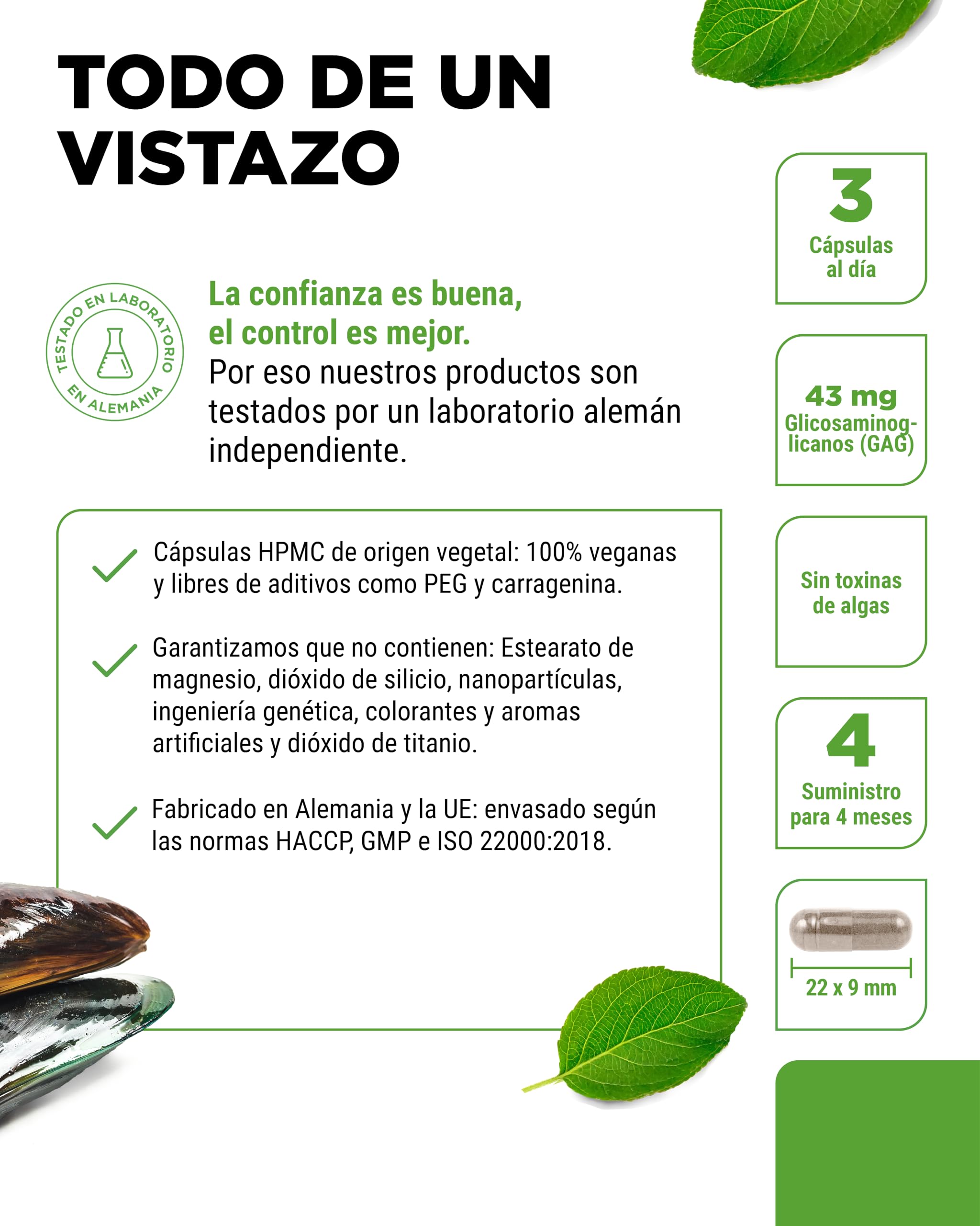 Mejillón de labio verde - 365 cápsulas de 600 mg cada una - Con glicosaminoglicanos - Extracto altamente dosificado - 100% polvo de mejillón de labio verde de Nueva Zelanda sin aditivos